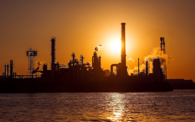 What You Need To Know When Looking For Industrie CBI Agents